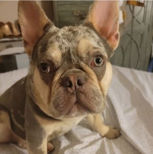 Make an offer!!! Most of the time I reply with an offer and it doesn't go thru